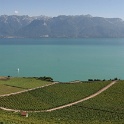 Lavaux - 009